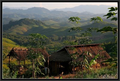 Udomxai Province (North Laos). Afternoon light.