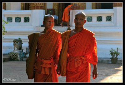 Two novices. Luang Prabang.