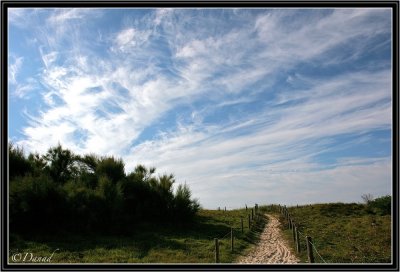 The Path to the Cirrus Highway.