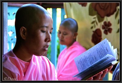 Reading (III). Sagaing.