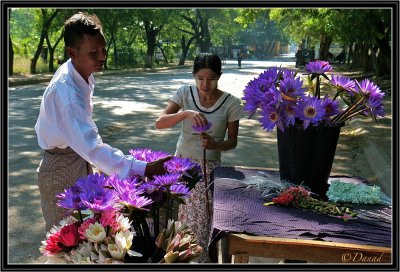 The Florists. Mandalay.