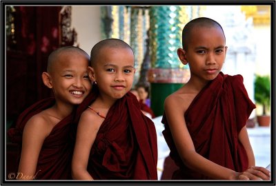 Three Novices visiting Shwedagon.