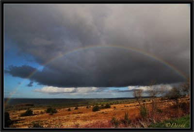 After the Thunderstorm.