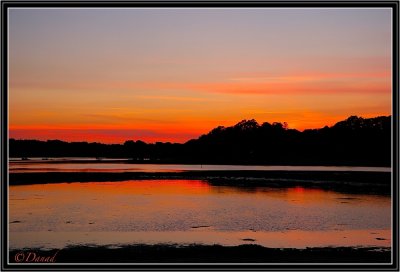 Red Dusk.