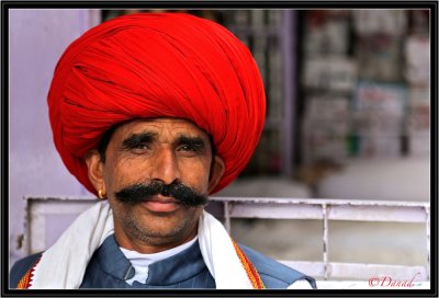 The Great Red Turban.