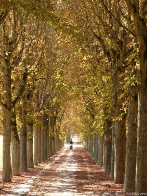 Promenade
