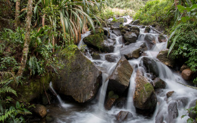 Guango River tribune, Near Guango Lodge