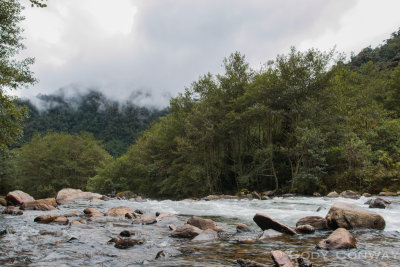 Guango River, Napo Ecuador