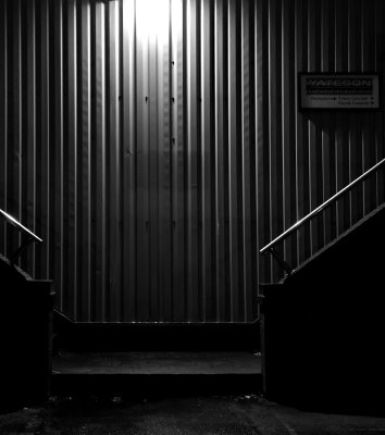 film_noir_offerings