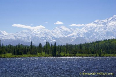 Mount McKinley view