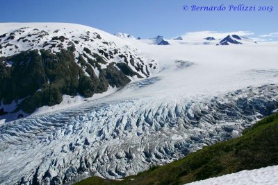 Harding icefield