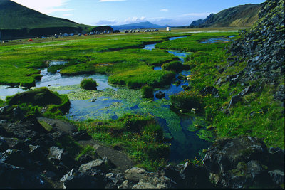Landmannalaugar hiking trail