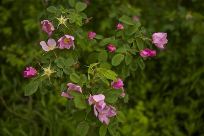 IMG_0381.jpg