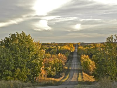 Fall afternoon