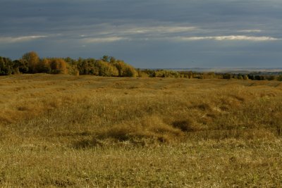 Harvest time