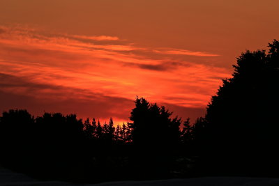 0B3A0034.JPG