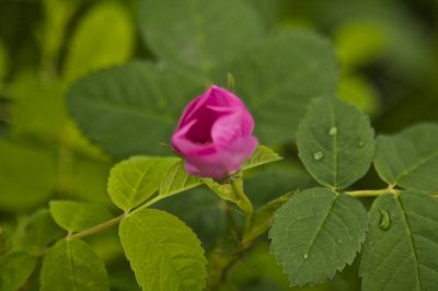 IMG_0382.jpg