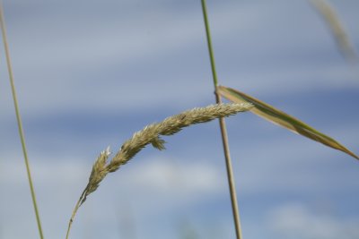 IMG_5587.jpg