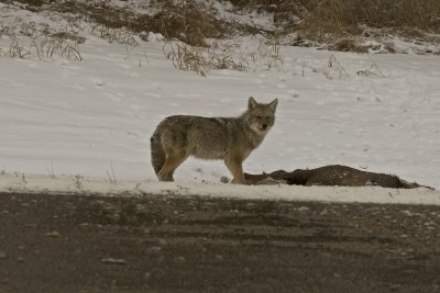 IMG_7105.jpg