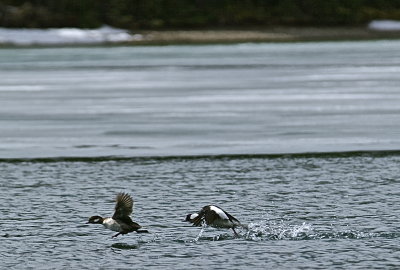 IMG_0206.jpg