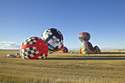 IMG_8576.jpg