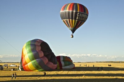 IMG_8578.jpg