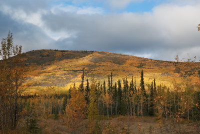 0B3A6275.JPG