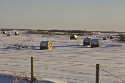 IMG_0881.jpg