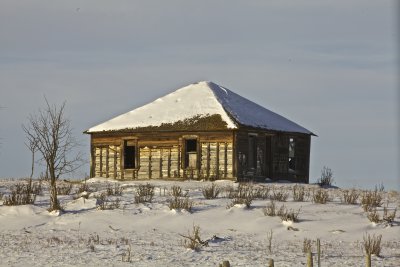 IMG_0950.jpg