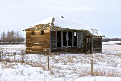 IMG_0959.jpg