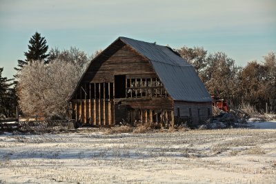 IMG_1029.JPG