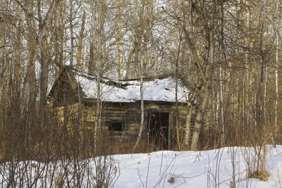 IMG_1043.jpg