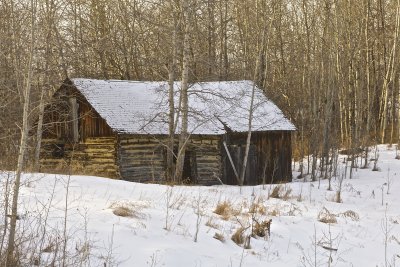 IMG_1048.jpg