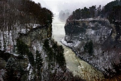 _8105440.jpg