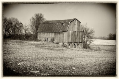_8105459-Edit.jpg