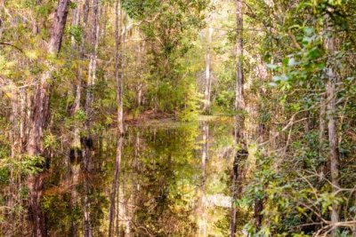 Everglades Canal.jpg