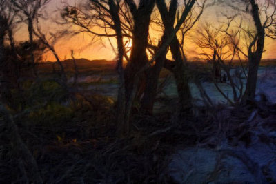 Oak Tree impression  2-1.jpg