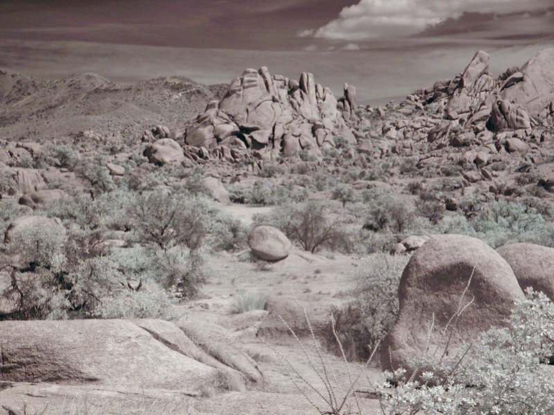 Texas Canyon #1