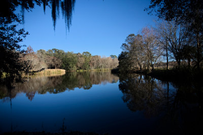 Lake-Alice, Gainesville, FL