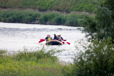 Limburg