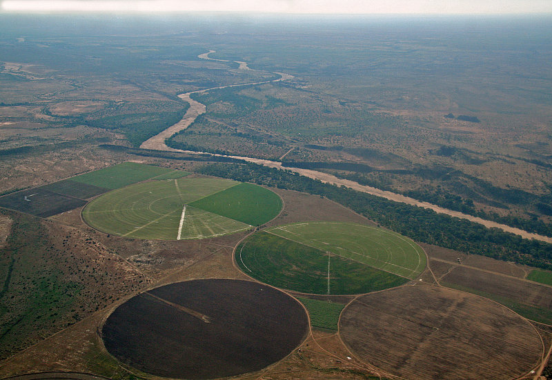 tuli from above