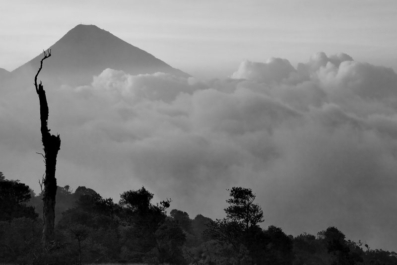 volcan pacaya 1