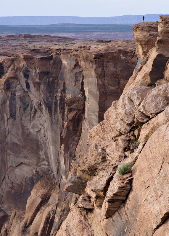 from horse shoe bend