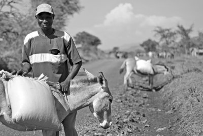 Cattle herder.  Ruma, Kenya.