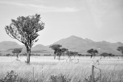 Ruma National Park, Kenya