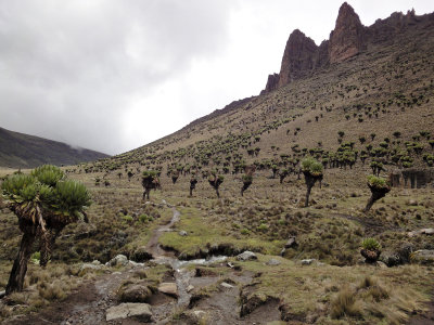 Mount Kenya, Kenya