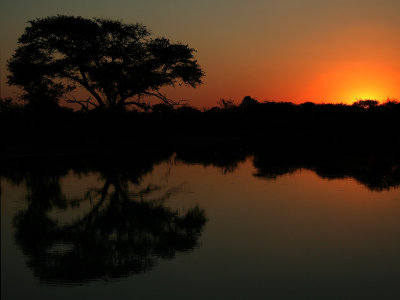 madikwe sundown