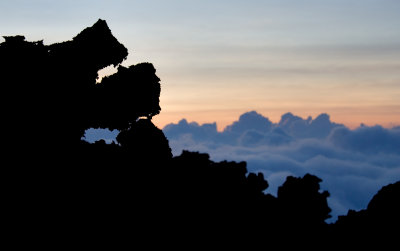 volcan pacaya 5