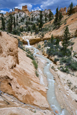 from mossy cave trail