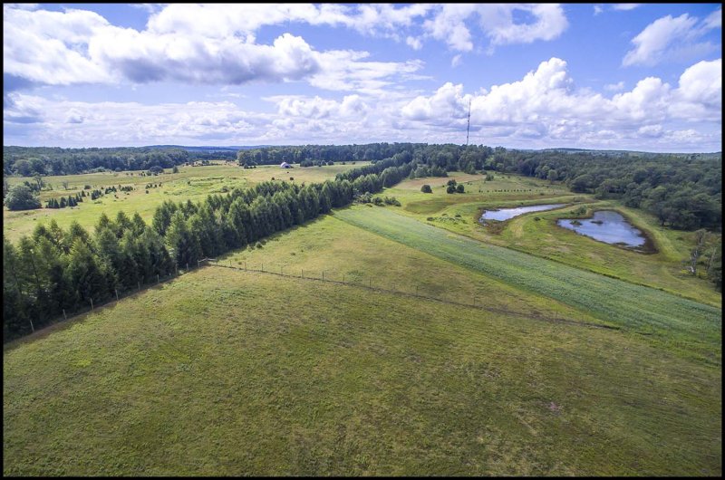 PC airport ponds from Denton Hill